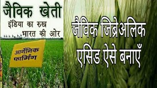 जैविक जिब्रेअलिक एसिड हॉर्मोन।Orgenic Gibberellic acid plants hormone [upl. by Ayim]