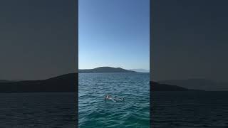 Neum today 29102024 [upl. by Jeroma]