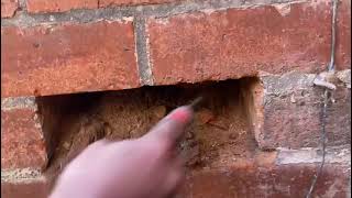 Debris in a cavity wall causing dampness internally [upl. by Annawyt255]