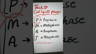 Trick⛳Cell cycle Phases cellcycle trick ashortaday mitosis meiosis biology shorts [upl. by Baxie]