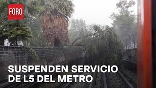 Suspenden servicio en Línea 5 del Metro de La Raza a Politécnico por caída de árbol  Las Noticias [upl. by Aryad979]