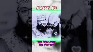 part13 গুনা করে অন্তরটি পচিয়ে ফেলেছেন ওয়াজটি শুনে অন্তরটি পরিষ্কার করেন MuftiAbdullahAlMamun [upl. by Rehttam]