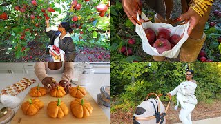 Fall Vlog  Surprise Fall Date with Bae Making Homemade Pumpkin Bagels and MORE [upl. by Nannerb]