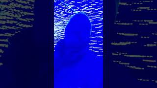 MO warp speed blueman warpspeed holdupwaitaminute dizzy nyc subscribe [upl. by Yi]