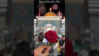 Mein ZainabSA hu❤️baba mera Ameer mein daulat Ali AS ki hu❤️🌹 Recited by Syed zain Ali zaidi [upl. by Nwavahs]