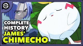 Pokemon Explained James Chimecho  Complete History [upl. by Imeaj]