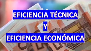 Eficiencia técnica y eficiencia económica [upl. by Griz]