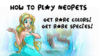 Painting and Transforming Pets How to Play Neopets [upl. by Kiele49]