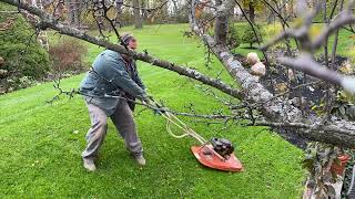 Flymo hovering mower cutting steep slope [upl. by Swinton]