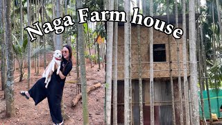 Naga Farm house piggery amp poultry farm A date day with my amico and cousin  cooking beef innards [upl. by Samuele710]