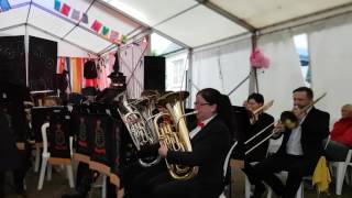 Mount Charles Band  One Day In Your Life  Tenor Horn Solo [upl. by Yeruoc]