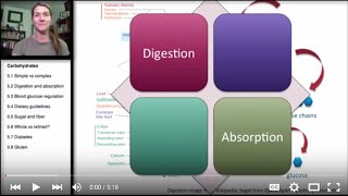 52 Carbohydrates Digestion and Absorption [upl. by Hertha]