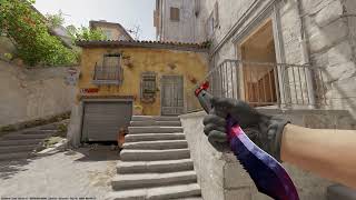 CS2 Bowie knife doppler phase 1 [upl. by Bertelli]