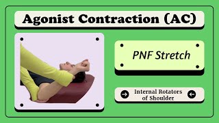 Agonist Contraction AC  PNF Stretching of Shoulder Internal Rotators [upl. by Khichabia]