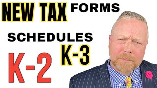 New Schedule K2 K3 What are K2 and K3 Forms IRS Filing Partnership 1065 amp S Corporations 1120S [upl. by Entroc]