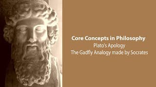 Plato Apology  Socrates Gadfly Analogy  Philosophy Core Concepts [upl. by Nireil]