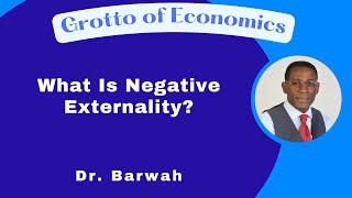 What Is Negative Externality [upl. by Aneekat]