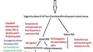 PHARMACOLOGY OF PROKINETIC AGENTS [upl. by Kraska]