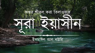 অন্তর শীতল করা সূরা ইয়াসিন এর তিলাওয়াত ┇ Surah Yasin Recited by Ismail An Nouri ┇ An Nafee [upl. by Janessa]