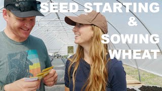 Seed Starting DIY Soil Block Trays amp Sowing Wheat [upl. by Attelrahs]