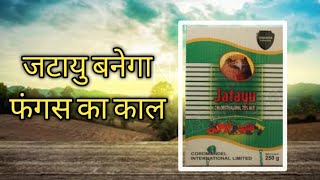 जटायु बनेगा फंगस का कालCoromandel Jatayu Chlorothalonil 75 WP Fungicide thesmartfarmer [upl. by Bever]