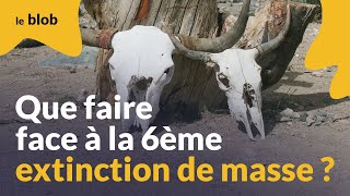 Que faire face à la 6ème extinction de masse   Interview [upl. by Neumann]