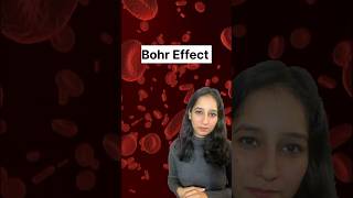 Bohr Effect humanphysiology csirnet neet gate cuet respiration hcu tifr csirnetlifescience [upl. by Maryly]