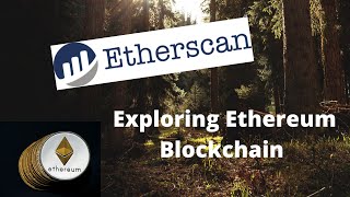 How To Use Etherscan  Everything You Should Know About Etherscan [upl. by Giacomo]