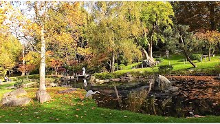 Have You Been To Holland Park A Must Visit [upl. by Ise]