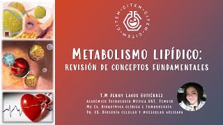 Clase  Metabolismo de Lípidos [upl. by Tini835]