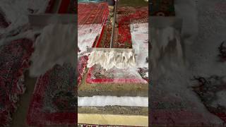 Foam scraping 342 satisfying asmr carpetcleganin Newaladdin shorts [upl. by Nosidda458]