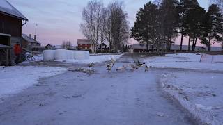 Winterroutine in Schweden  Einblick in unser Leben mit der Kälte 20° [upl. by Ahsila]