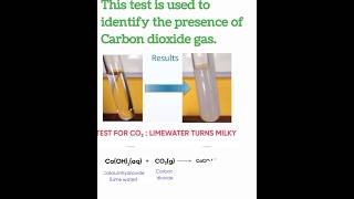 Lime Water Test class 10 science chemistryshorts [upl. by Aicsila]