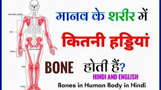 Skeletal system List of 206 Bones in Human Body  मानव शरीर में 206 हड्डियों bone anatomy [upl. by Kella]