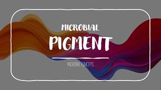 MICROBIAL PIGMENT pigment part 1 [upl. by Mackenzie]