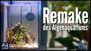 Meerwasser Makroalgen Aquarium retten  AquaOwner [upl. by Hgielar503]