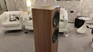 Fyne Audio F703 SP Unboxing and setup at Martins HiFi [upl. by Gschu]