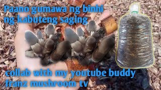 Paano gumawa ng F1 planting spawn volvamushroom binhi collab with my youtube buddy franz mushroom tv [upl. by Irual]