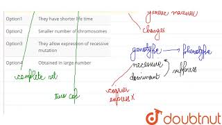 Why are haploids superior to diploids in study of mutations   CLASS 12  5 PRINCIPLES OF INHER [upl. by Euqinaj29]