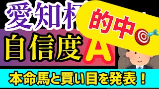 【愛知杯2024】本命馬は勝負に来たこの馬から！【競馬予想】 [upl. by Oram]