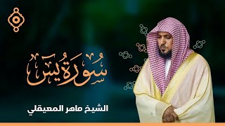 Surat Yasin Maher Al Muaiqly  سورة يس  الشيخ ماهر المعيقلي [upl. by Eihs]