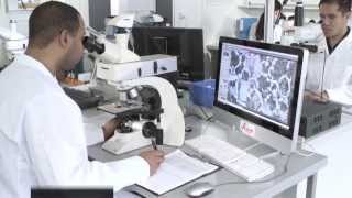 Upright Materials Microscope with LED Illumination Leica DM2700 M [upl. by Lizzy]