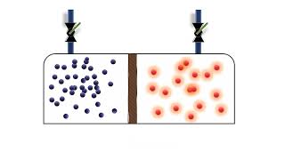 Mass transfer by diffusion in a binary gas mixture animation [upl. by Dail]