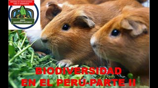 Cómo proponemos recomendaciones para conservar la Biodiversidad aprendo en casa [upl. by Sauder]