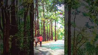 Friends status friends like travel nature trending youtubeshorts youtube [upl. by Stich]