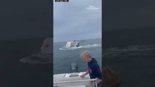 Whale capsizes fishing boat off New Hampshire coast [upl. by Dahaf]