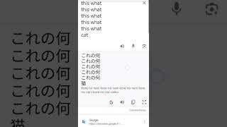 Kore Nani neko  Google Translate korenanineko googletranslate english cat korenani funny [upl. by Arabeila6]