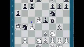 ChessMaster GME Sax G Vs Waitzkin J [upl. by Anilok]