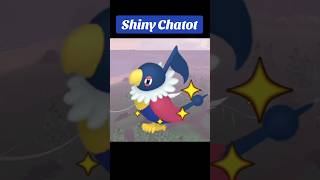 Shiny Chatot in Legends Arceus pokemonlegendsarceus pokemon shinypokemon shiny [upl. by Gnim]