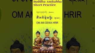 ☸Buddha Amitabha Short Prayer amp Mantra RecitationOm Ami Dhewa Hriགཟུངས་སྔགས། Amitabha Prayer [upl. by Ettecul]